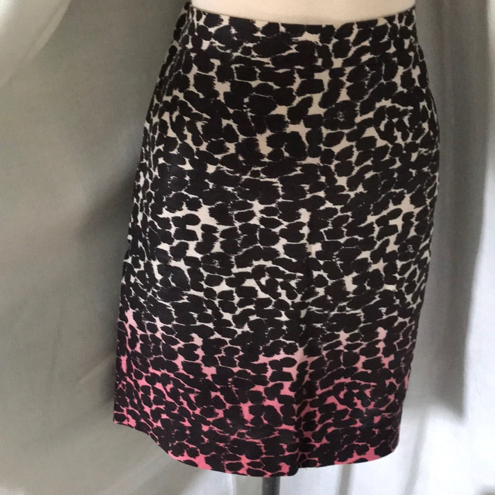J Crew Skirt